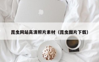 韶关昆虫网站高清照片素材（昆虫图片下载）